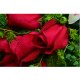 12支紅色玫瑰花束